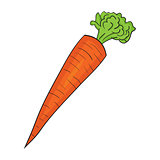 Illustration of Isolated Cartoon Carrot