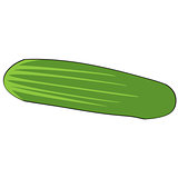 Isolated Cartoon Cucumber