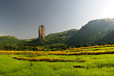 Agriculture landscape in Ethiopia
