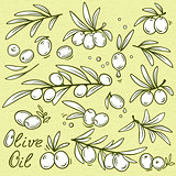 set of isolated graphic olives
