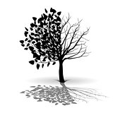 Plant tree silhouette