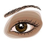 Woman brown beautiful eye