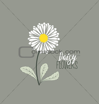 Meadow floral background