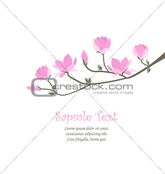 Vector magnolia flowers