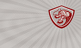 Red Dragon Martial Arts Club Business card