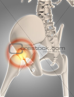 3D skeleton with hip highlighted