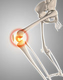 3D skeleton with knee highlighted