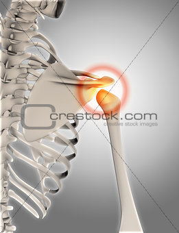 3D skeleton with shoulder highlighted