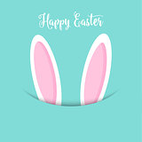 Easter bunny ears background 