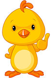 Cute Yellow Baby Chicken