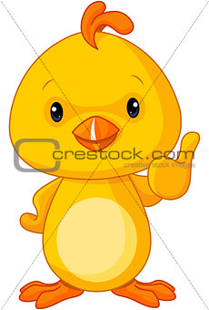Cute Yellow Baby Chicken