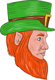 Leprechaun Head Side Drawing