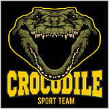 Crocodile mascot for a sport team. Vector illustration.