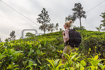 Female tourist enjoying beautiful nature of tea plantations, Sri Lanka.