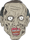 Zombie Head Front Drawing