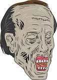 Zombie Head Three Quarter View Drawing