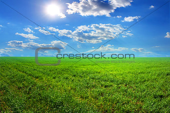 Grass sun clouds