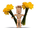 Boxman holding large bunches of daffodils