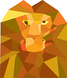 Lion Head Front Low Polygon