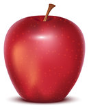 Red whole ripe apple on white background