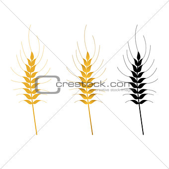 wheat vector isolated set