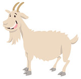 goat farm animal character