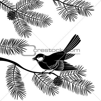 Bird Titmouse on Pine Branch, Cutout
