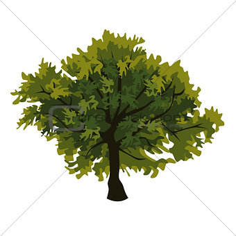 Tree oak clip art