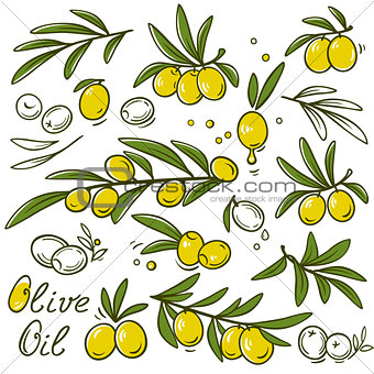 olive branches set