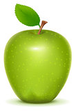 Green whole ripe apple on white background