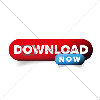 Download Now button vector