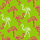 Green and pink striped flamingo bird pattern.