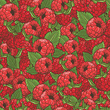 Vintage Raspberries Seamless Pattern