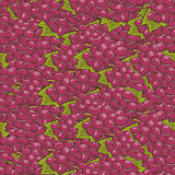 Vintage Red Grapes Seamless Pattern