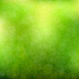 Blurred Green Background
