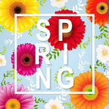 Spring Flower Spring Banner