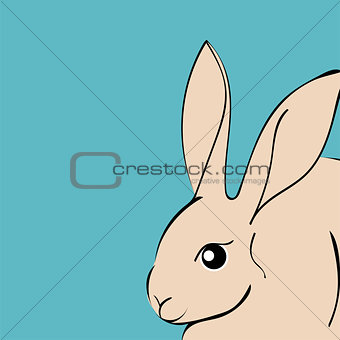 Easter Rabbit animal cartoon