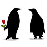 Penguin friendship symbol loyalty love