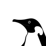 Penguin Cute animal head funny cartoon