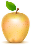Yellow transparent sort apple with green leaf
