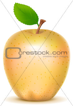 Yellow transparent sort apple with green leaf