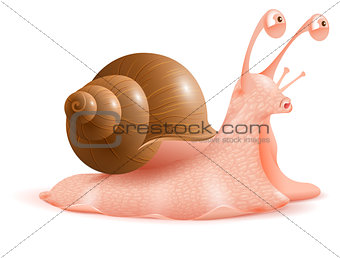 Snail with shell on back