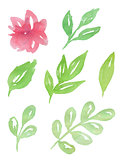 Watercolor flowers and green leaves 