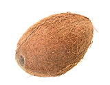 coconut in studio