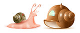 Cartoon snail looks at new shell of house. Buying property