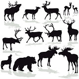 Deer and moose, reindeer silloette vector image
