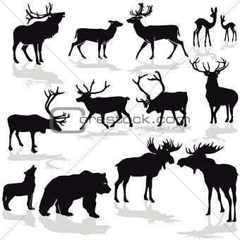 Deer and moose, reindeer silloette vector image