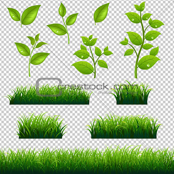 Green Grass And Leaves Big Set