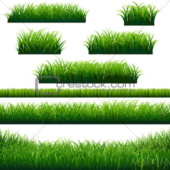 Green Grass Borders Collection