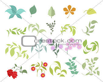 Floral elements set